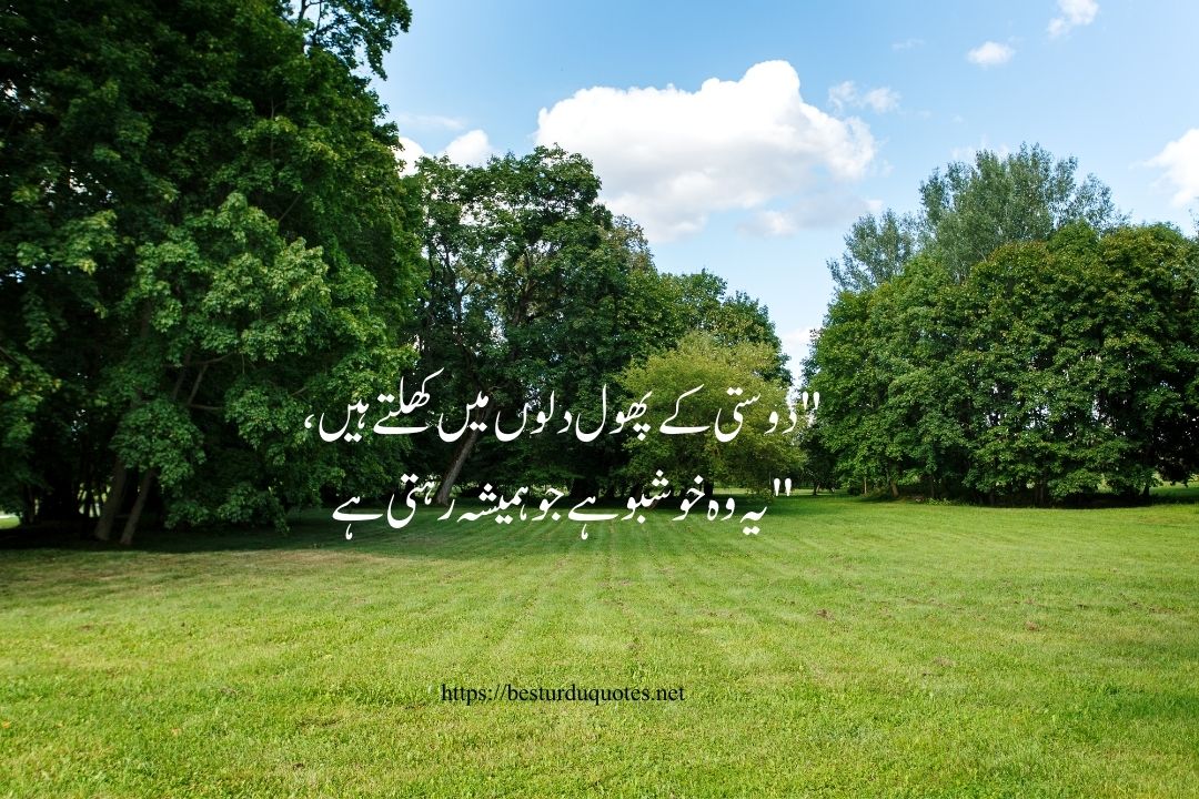 Friendship Quotes in Urdu