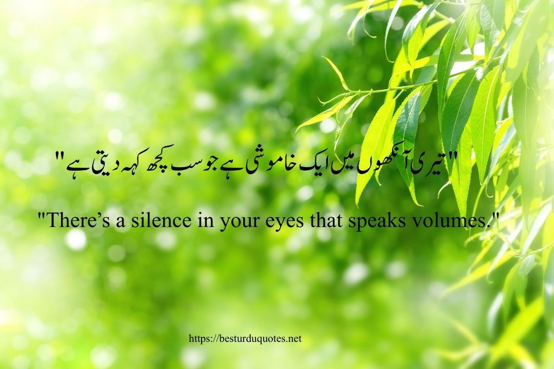 Urdu Poetry on Eyes