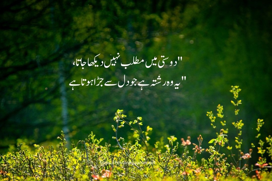 Friendship Quotes in Urdu