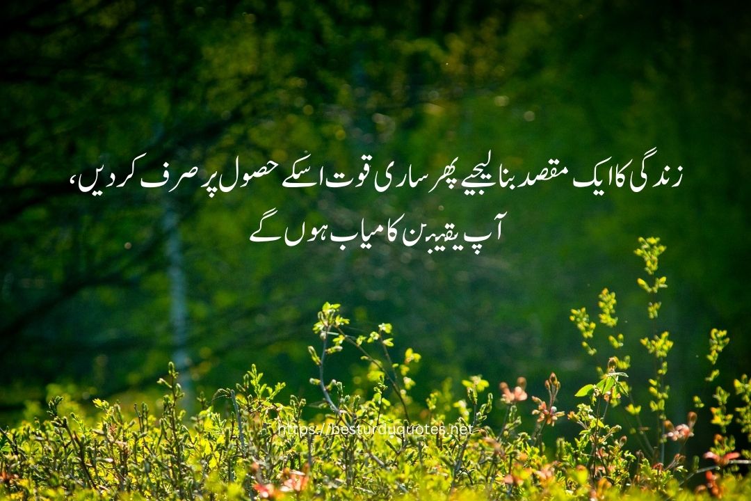 Best Quotes About Life in Urdu