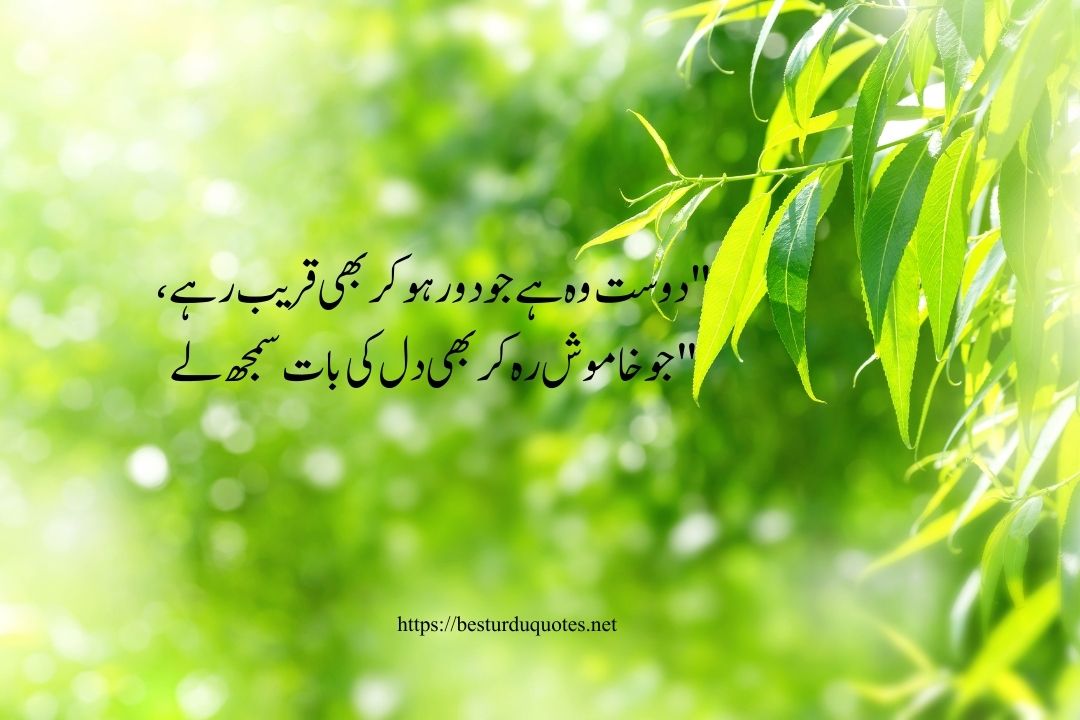 Friendship Quotes in Urdu