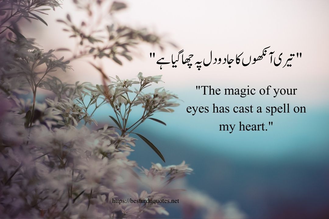 Urdu Poetry on Eyes