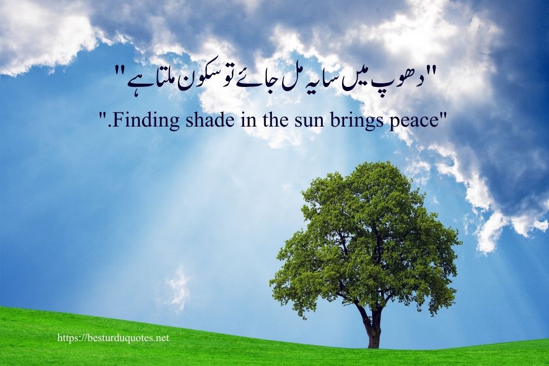 One Line Urdu Poetry