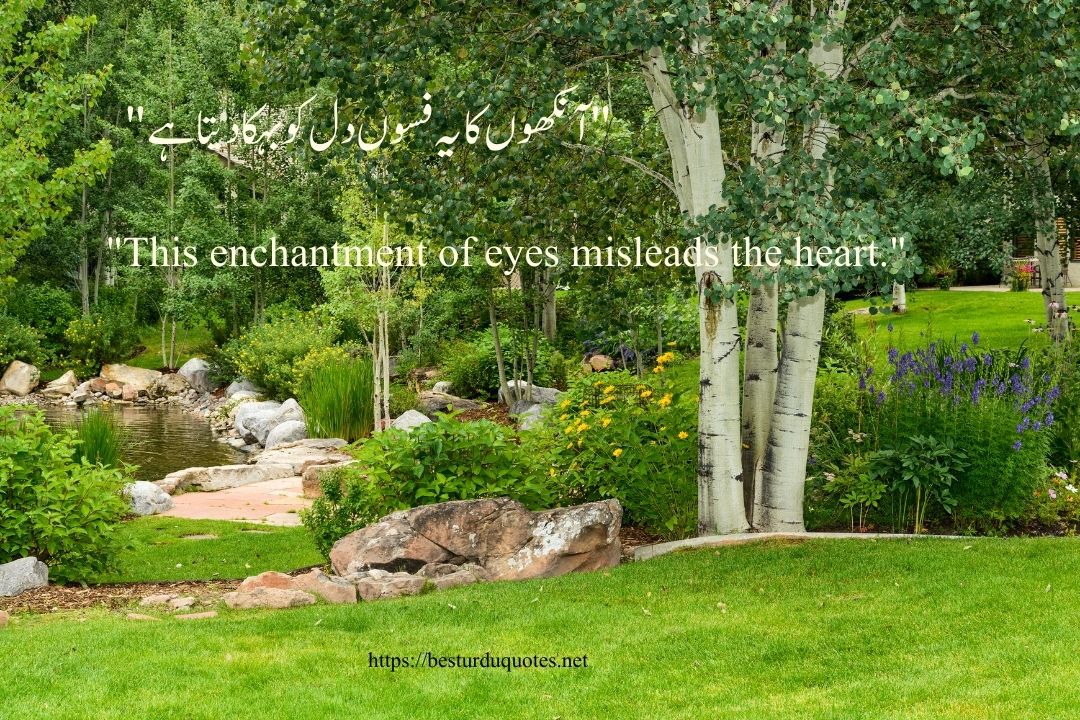 Urdu Poetry on Eyes