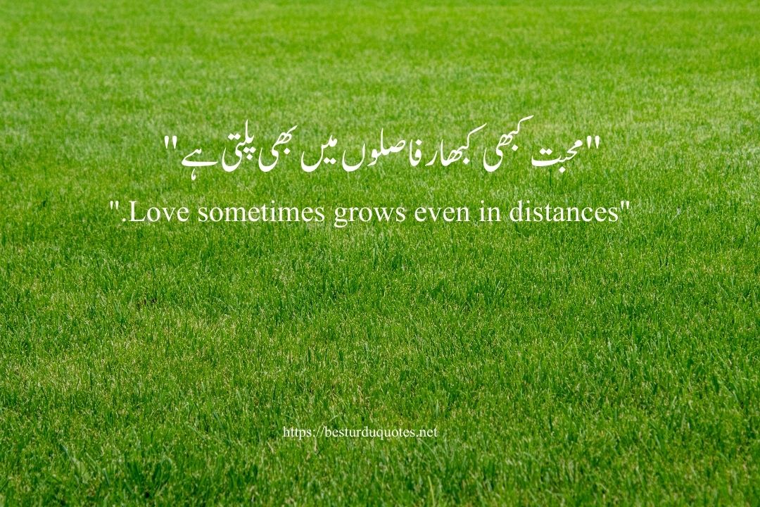 One Line Urdu Poetry