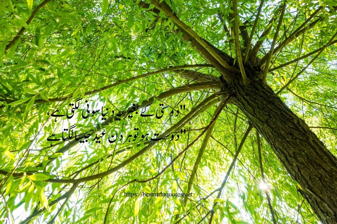 Friendship Quotes in Urdu