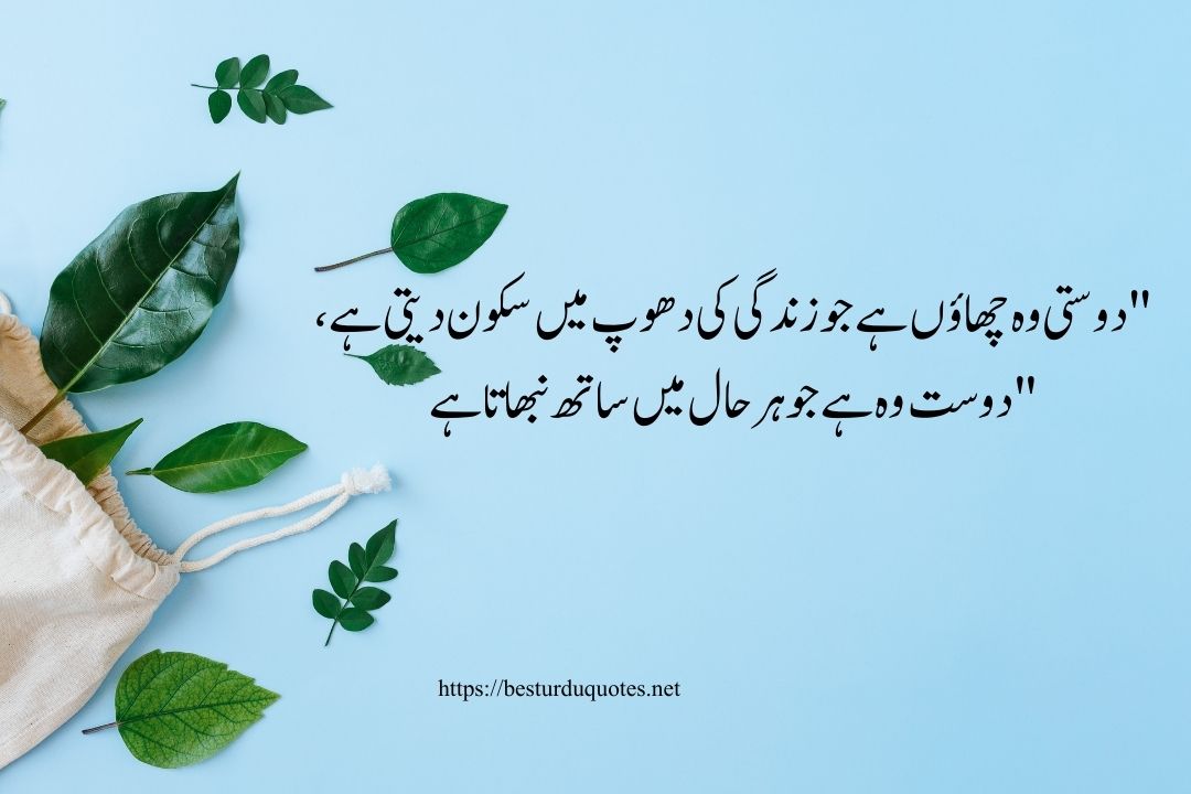 Friendship Quotes in Urdu