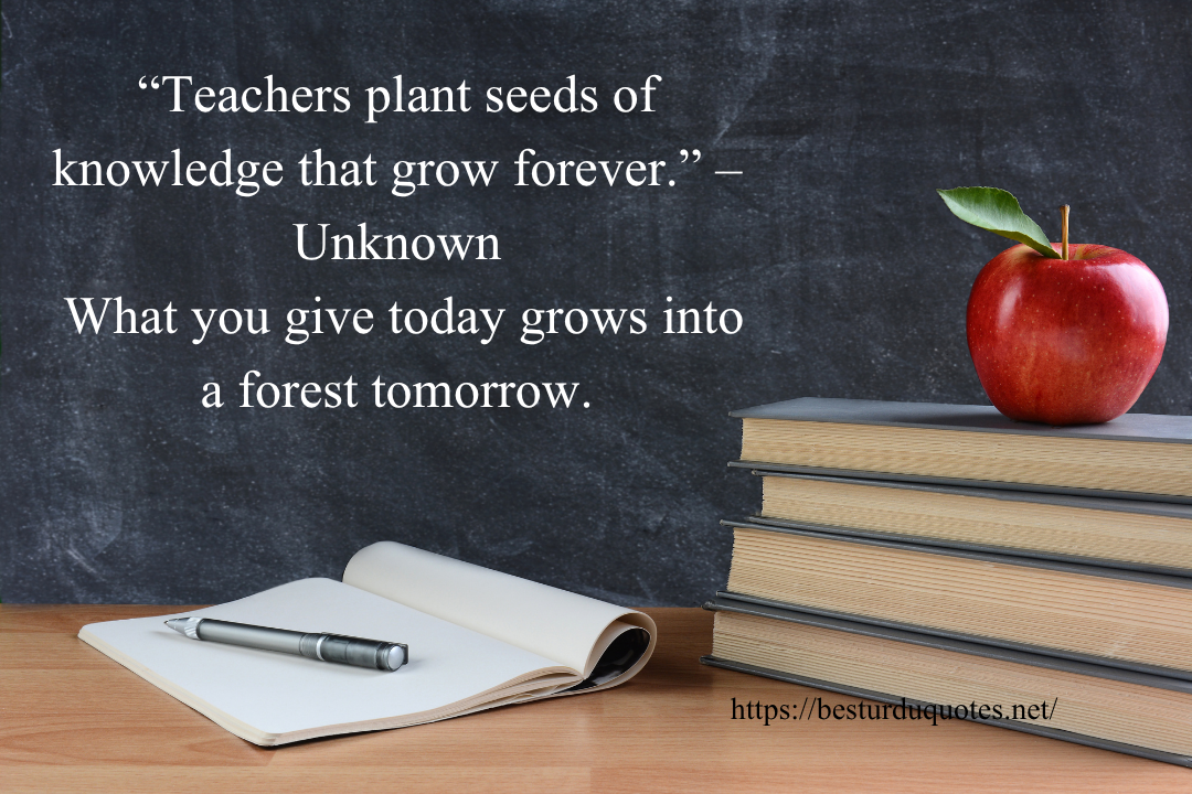 Encouraging Quotes for Teachers