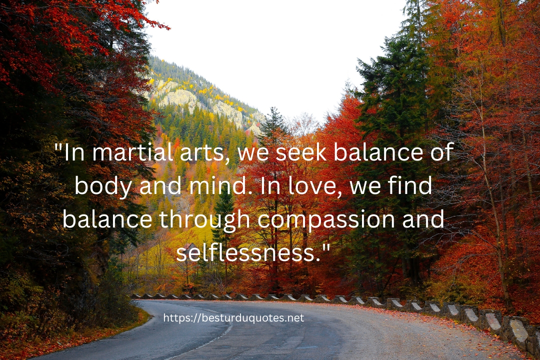 Buddhist Quote Martial Arts Love​