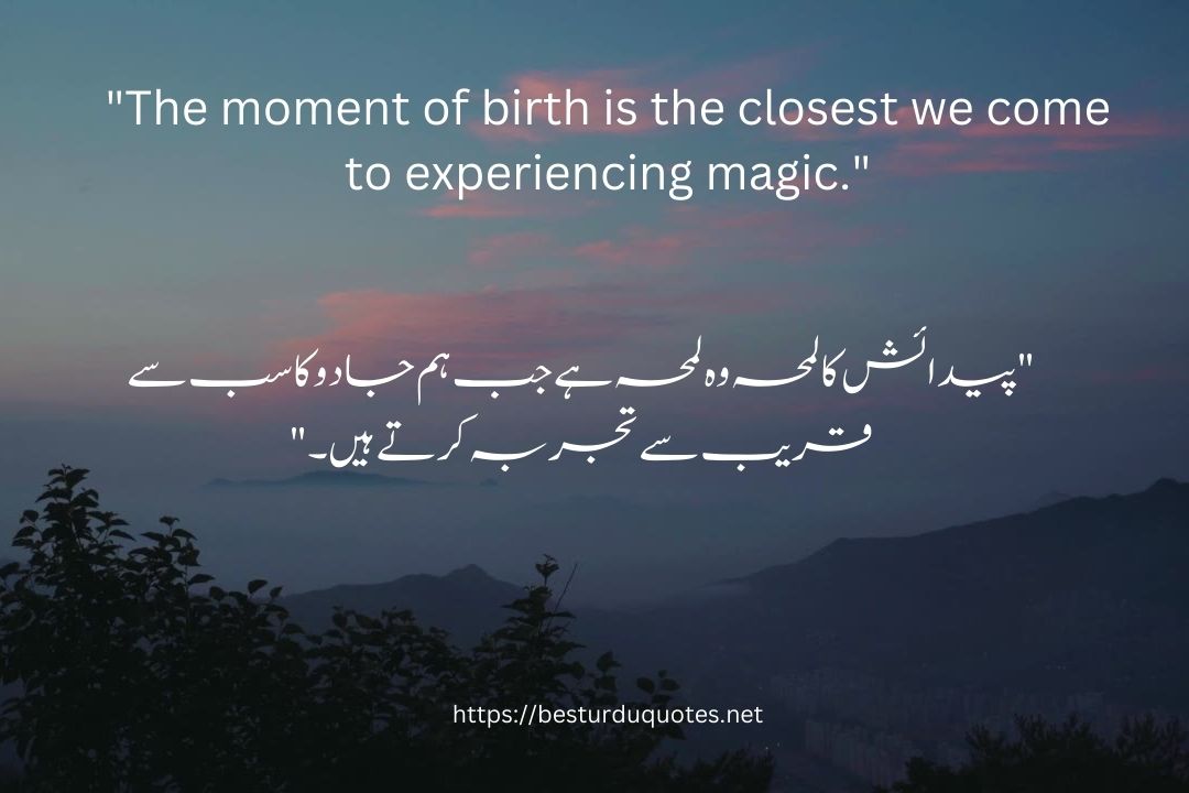 Quotes on Birth 