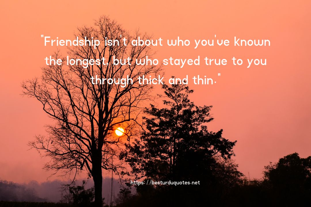 Fake Friends Quotess