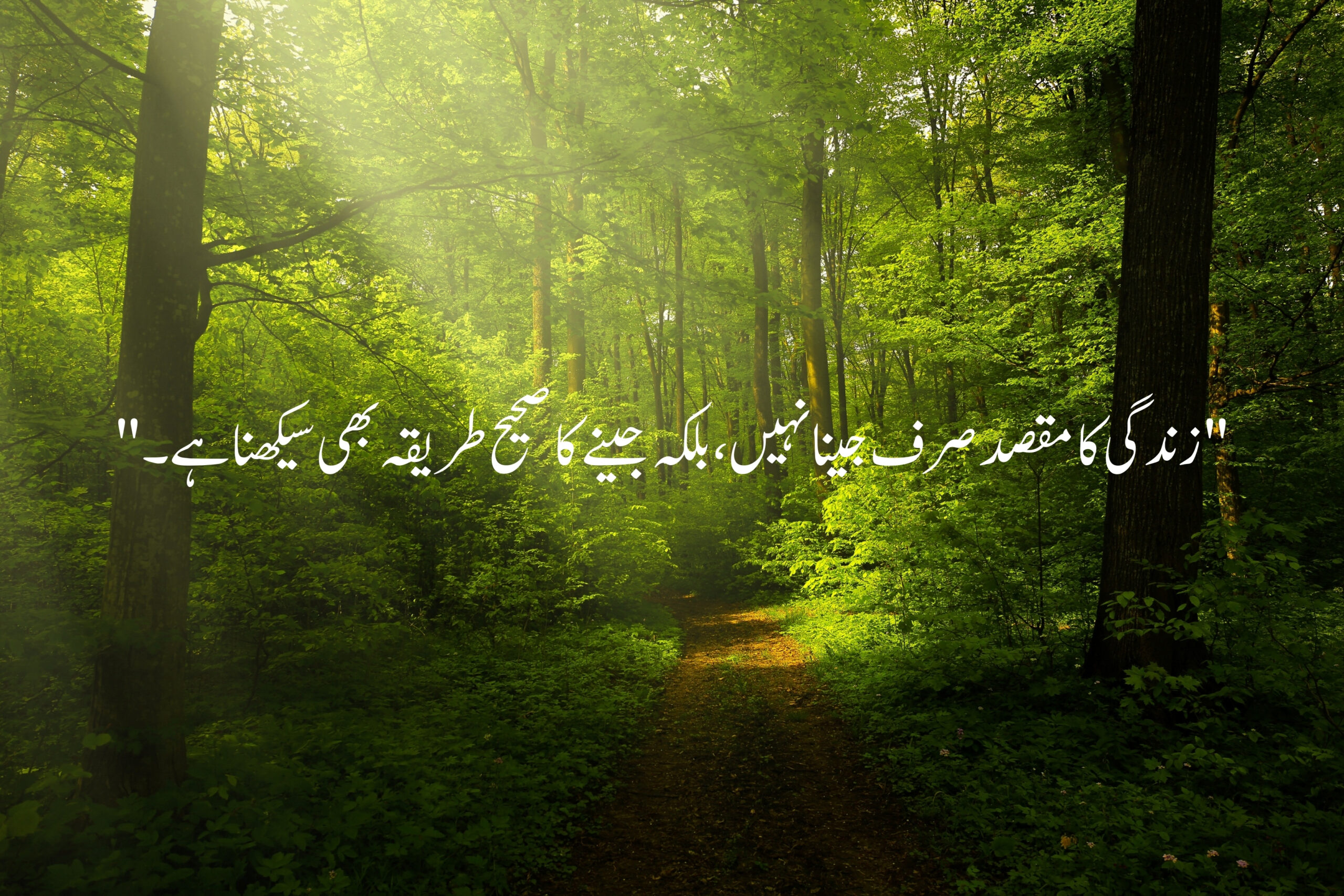 Most Powerful and Heart Touching Quotes in Urdu 3 Most Powerful and Heart Touching Quotes in Urdu