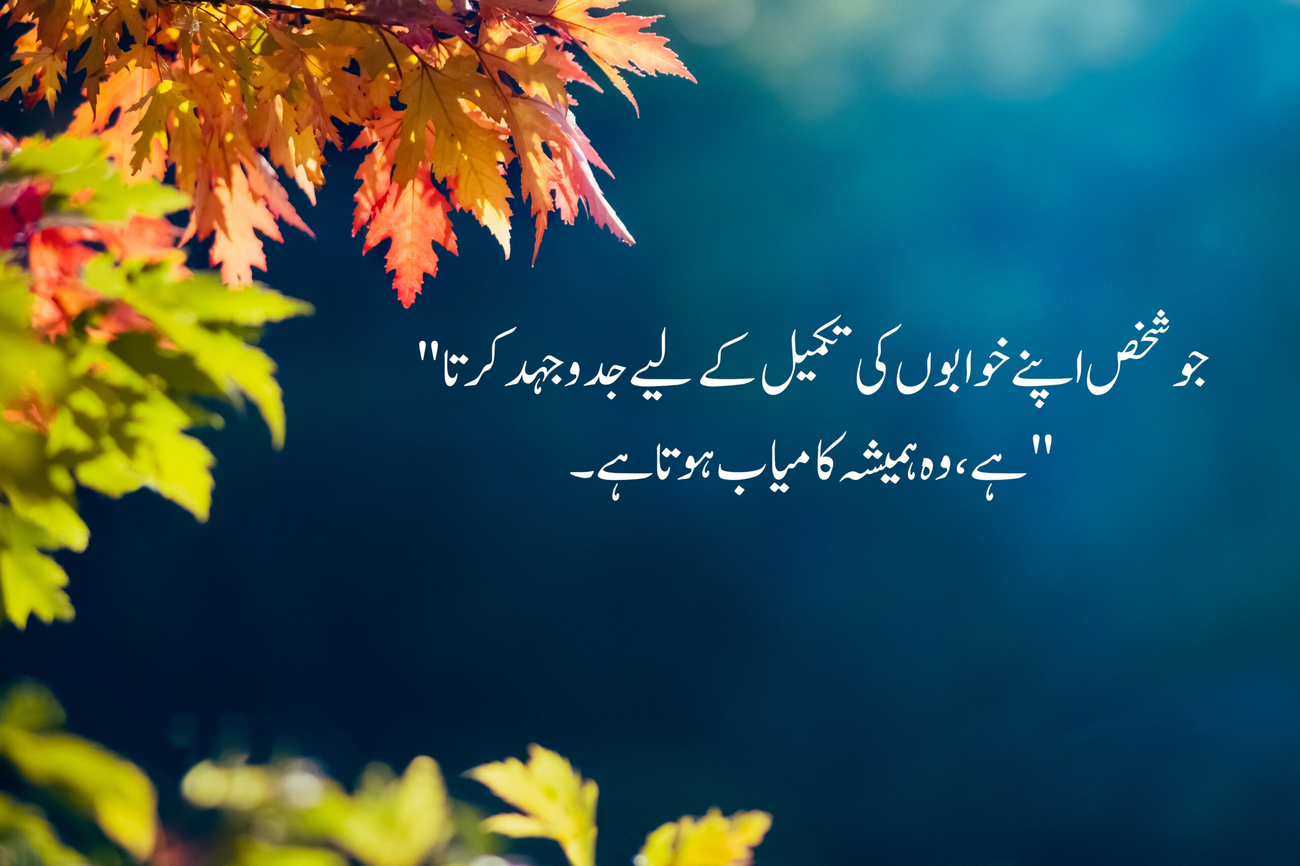 Most Powerful and Heart Touching Quotes in Urdu 12 Most Powerful and Heart-Touching Inspirational Quotes in Urdu