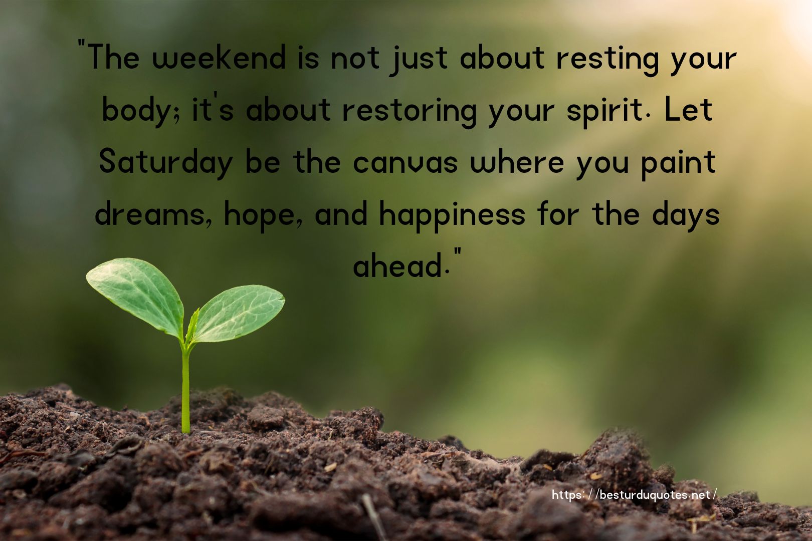 Boost Your Knowledge on Happy Saturday Quotes 5 Boost Your Knowledge on Happy Saturday Quotes