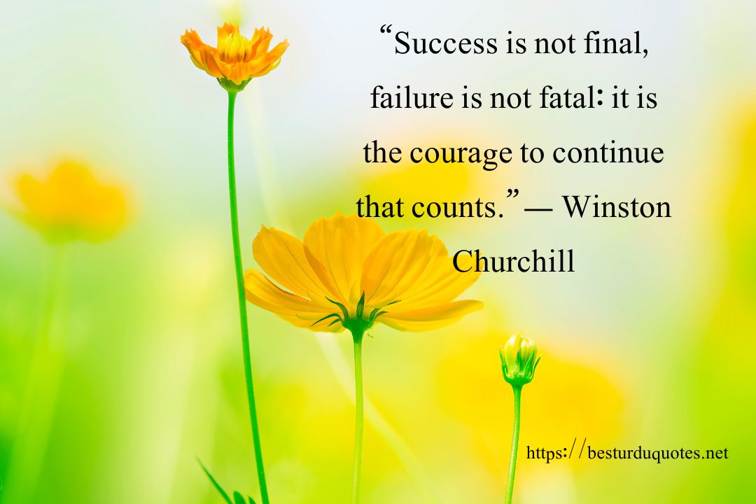 50 Powerful Tuesday Motivational Quotes 