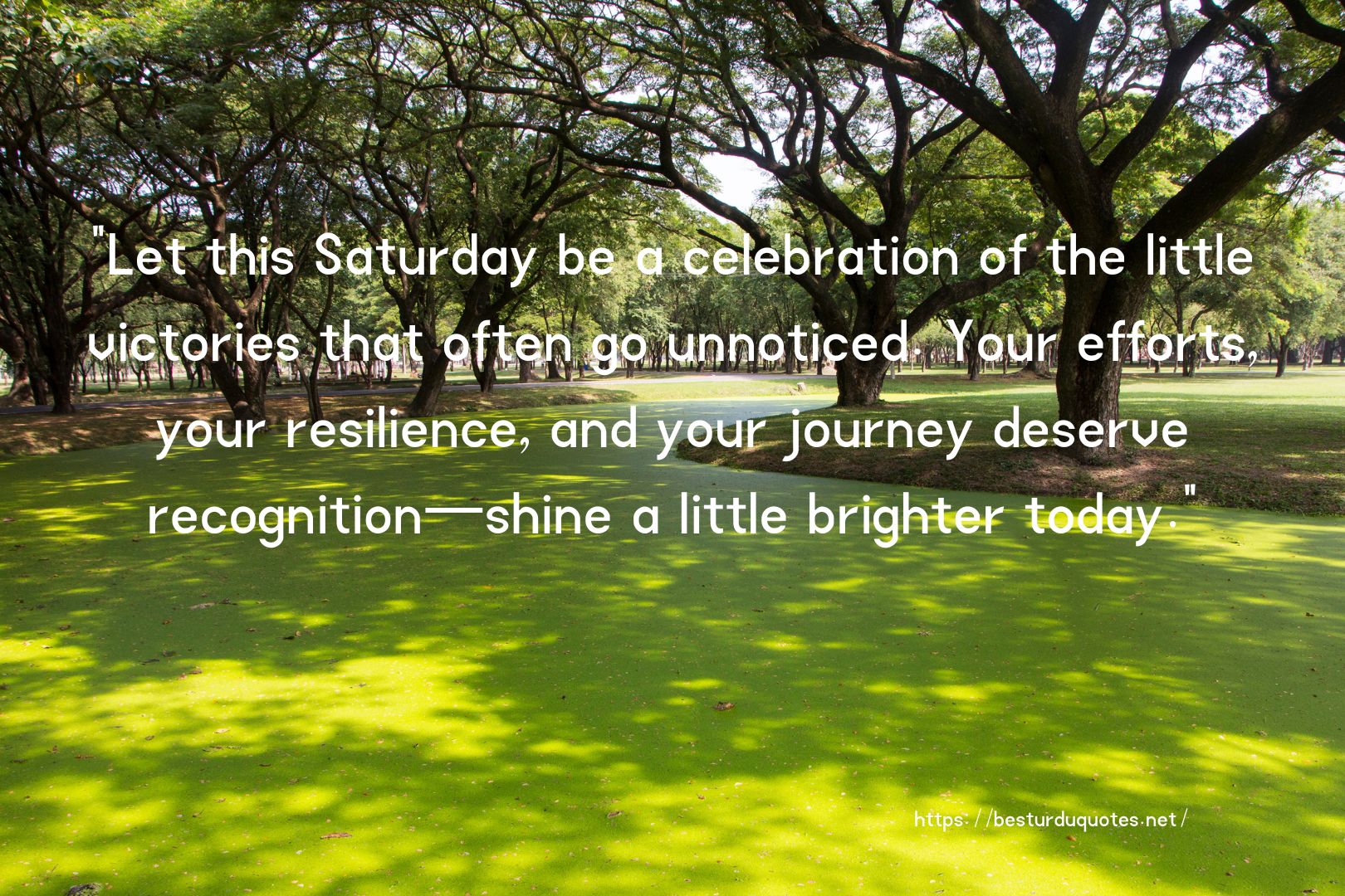 Boost Your Knowledge on Happy Saturday Quotes 7 Boost Your Knowledge on Happy Saturday Quotes
