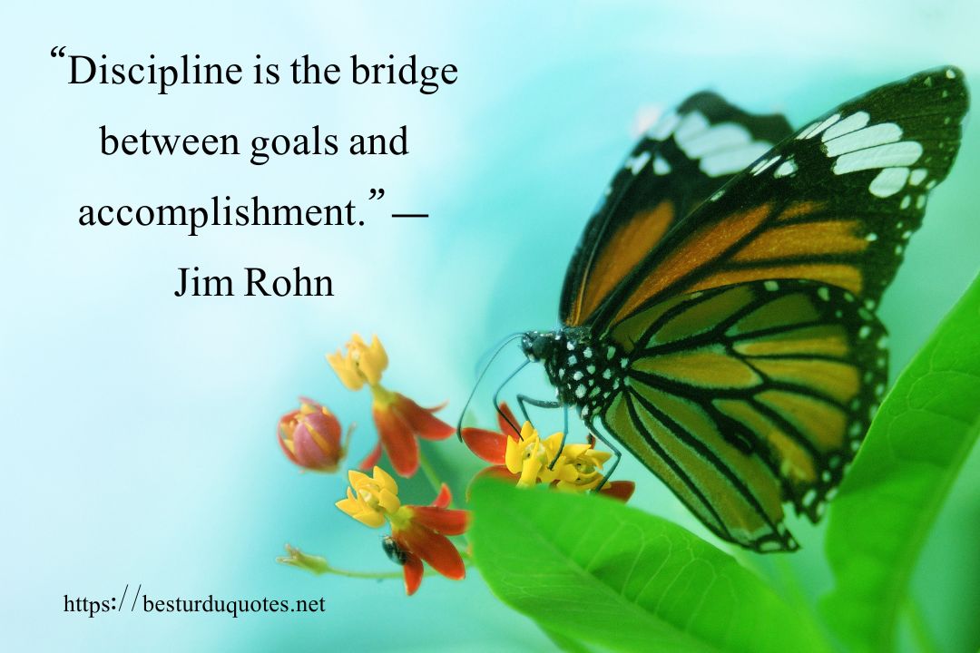50 Powerful Tuesday Motivational Quotes 