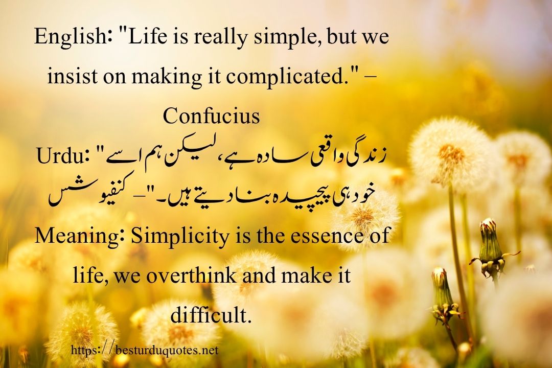 50 Best Quotes About Life in Urdu