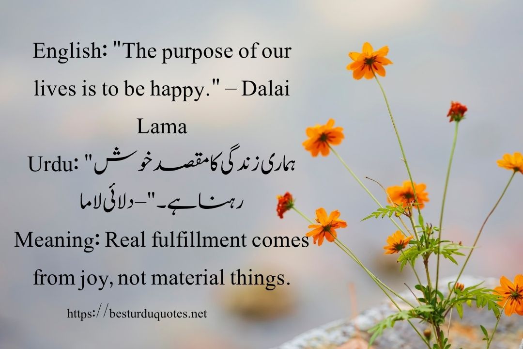 50 Best Quotes About Life in Urdu