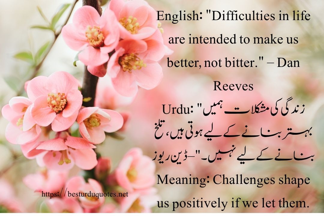 50 Best Quotes About Life in Urdu
