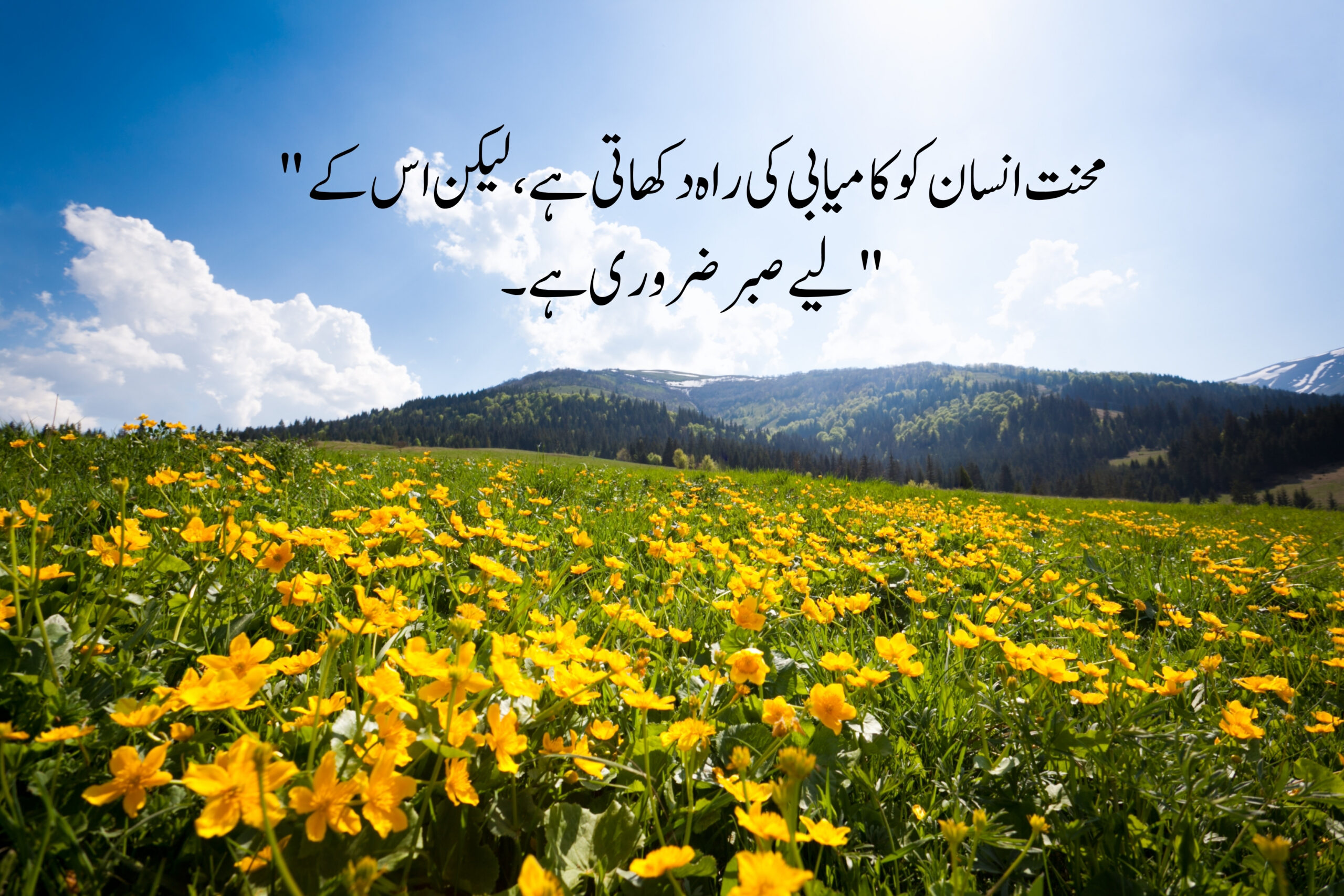 Most Powerful and Heart Touching Quotes in Urdu 5 Most Powerful and Heart-Touching Inspirational Quotes in Urdu