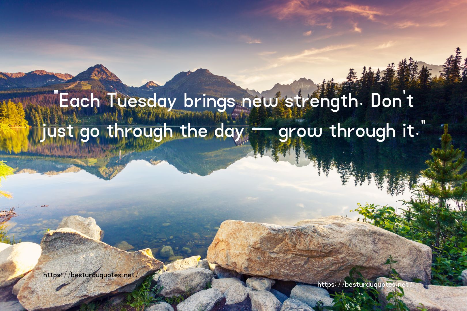 Motivation Tuesday Morning Inspirational Quotes 12 Motivation Tuesday Morning Inspirational Quotes