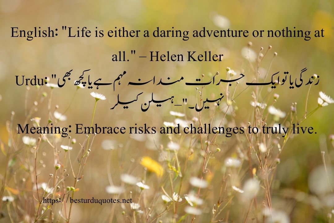 50 Best Quotes About Life in Urdu