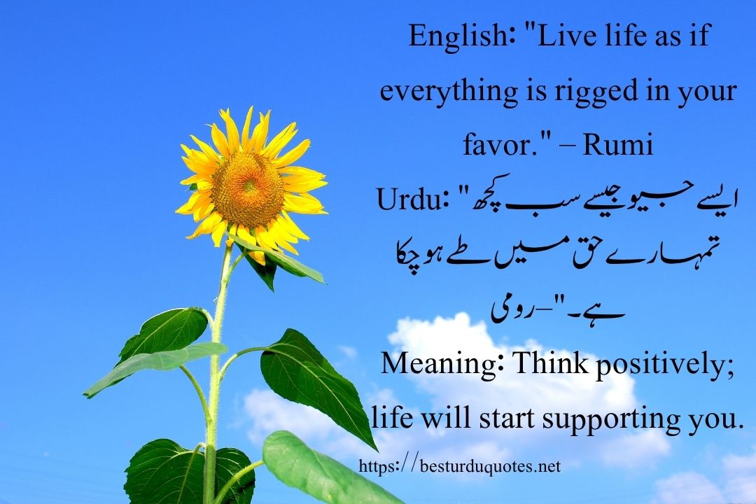 50 Best Quotes About Life in Urdu