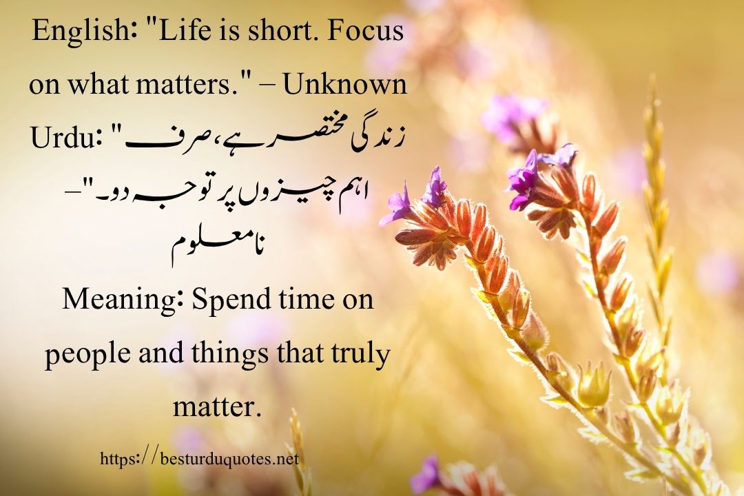 50 Best Quotes About Life in Urdu