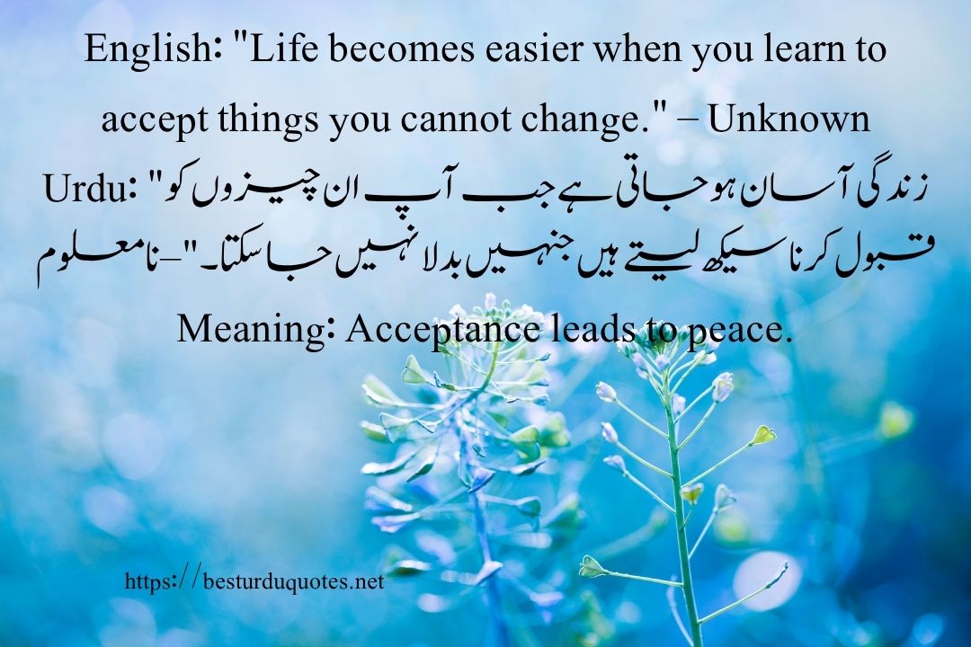 50 Best Quotes About Life in Urdu