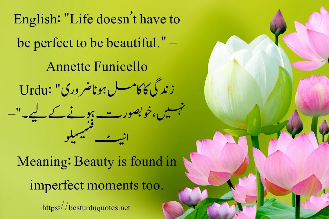 50 Best Quotes About Life in Urdu