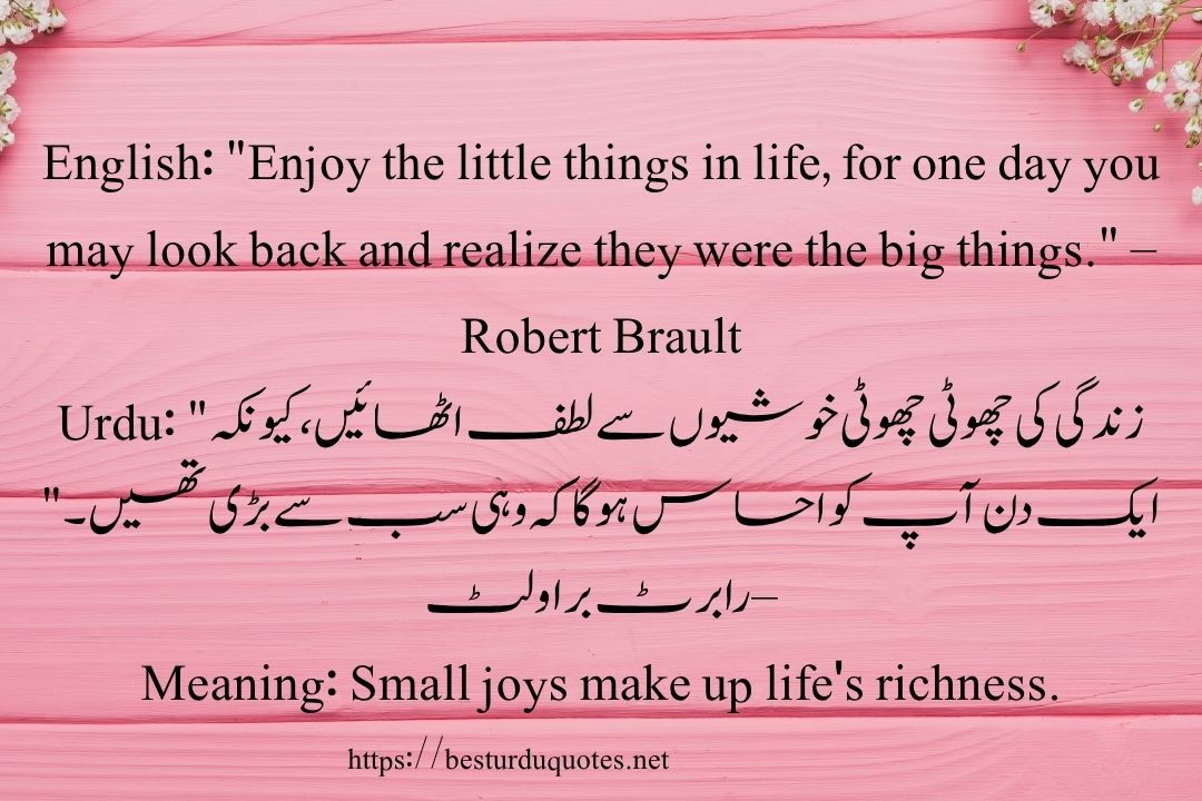 50 Best Quotes About Life in Urdu