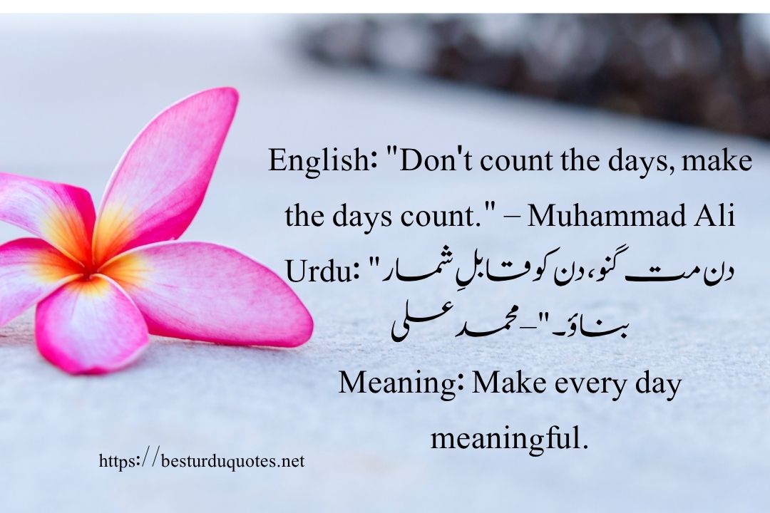 50 Best Quotes About Life in Urdu