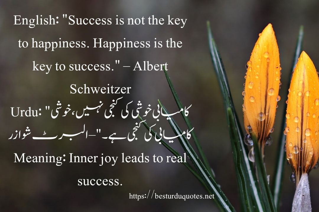50 Best Quotes About Life in Urdu