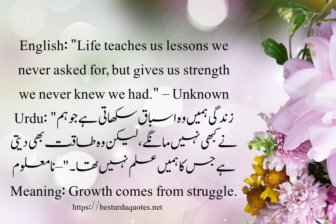 50 Best Quotes About Life in Urdu
