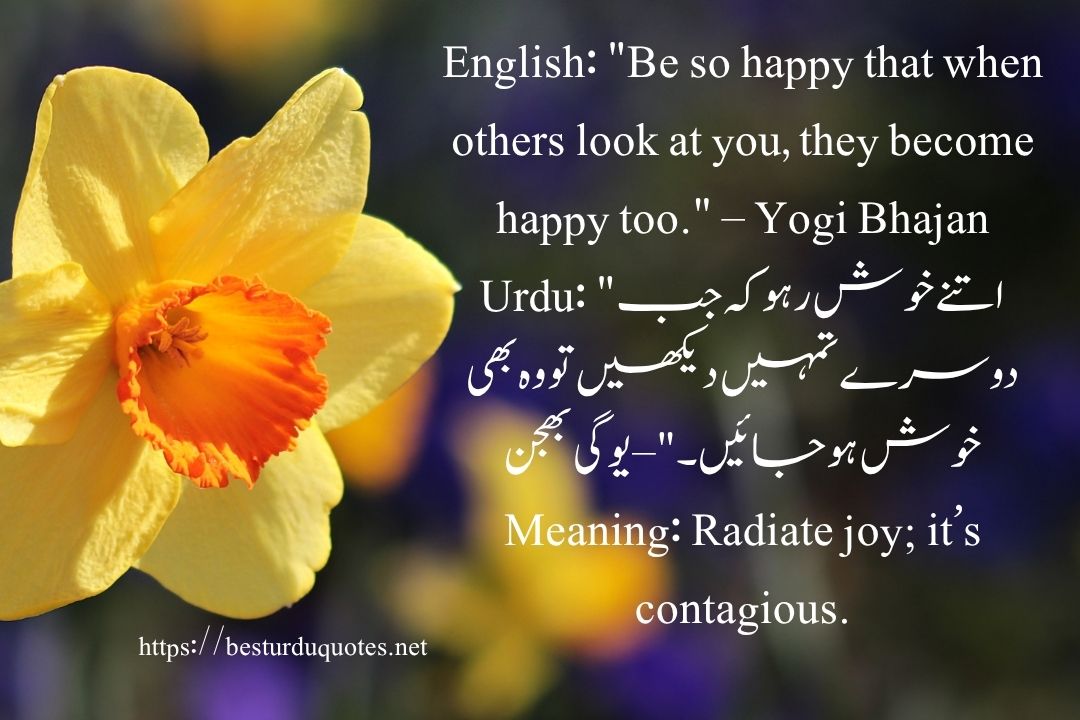50 Best Quotes About Life in Urdu