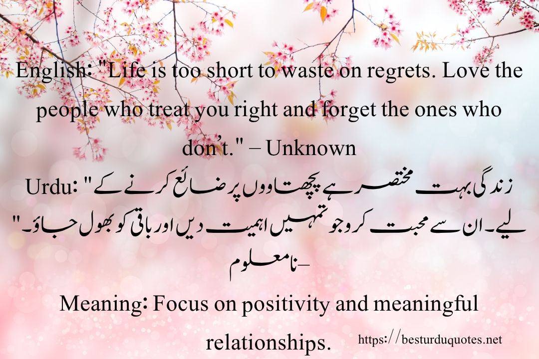 50 Best Quotes About Life in Urdu