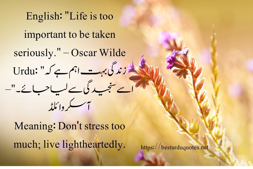 50 Best Quotes About Life in Urdu