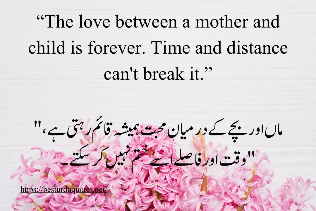 Best Mother Day Quotes to Show Your Love and Gratitude 10 Best Mother Day Quotes to Show Your Love