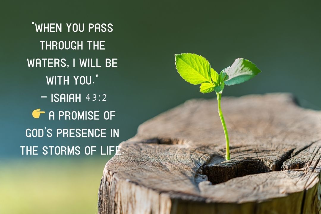 50 Powerful Bible Quotes to Uplift Your Spirit