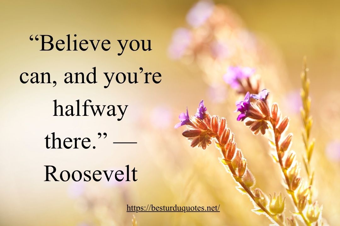 200 Best Quotes of the Day to Spark Motivation 