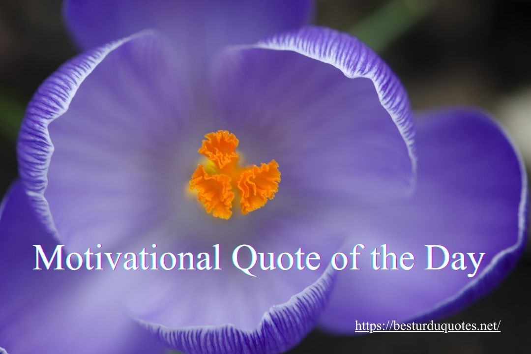 200 Best Quotes of the Day to Spark Motivation and Positivity 8 200 Best Quotes of the Day to Spark Motivation