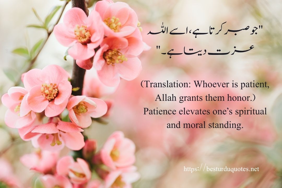 100 Best Motivational Quotes in Urdu to Inspire Your Day 12 100 Best Motivational Quotes in Urdu to Inspire Your Day