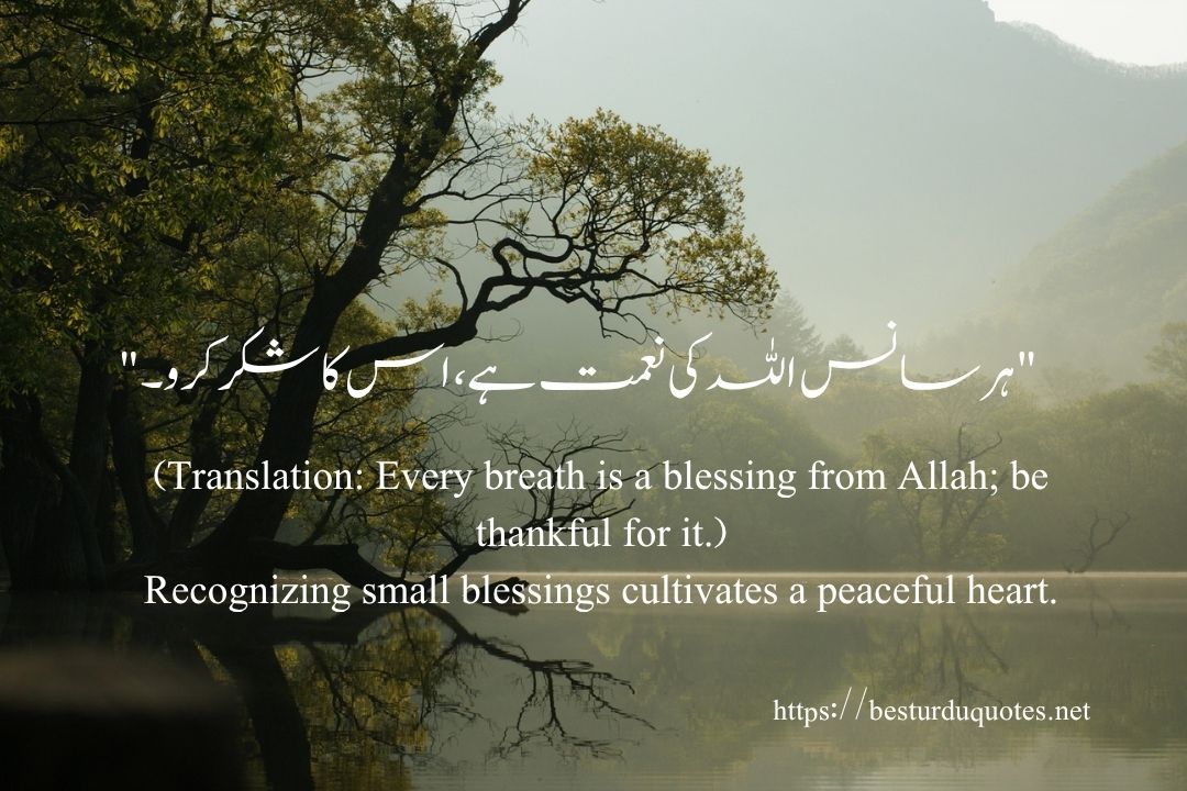 100 Best Motivational Quotes in Urdu to Inspire Your Day 15 100 Best Motivational Quotes in Urdu to Inspire Your Day