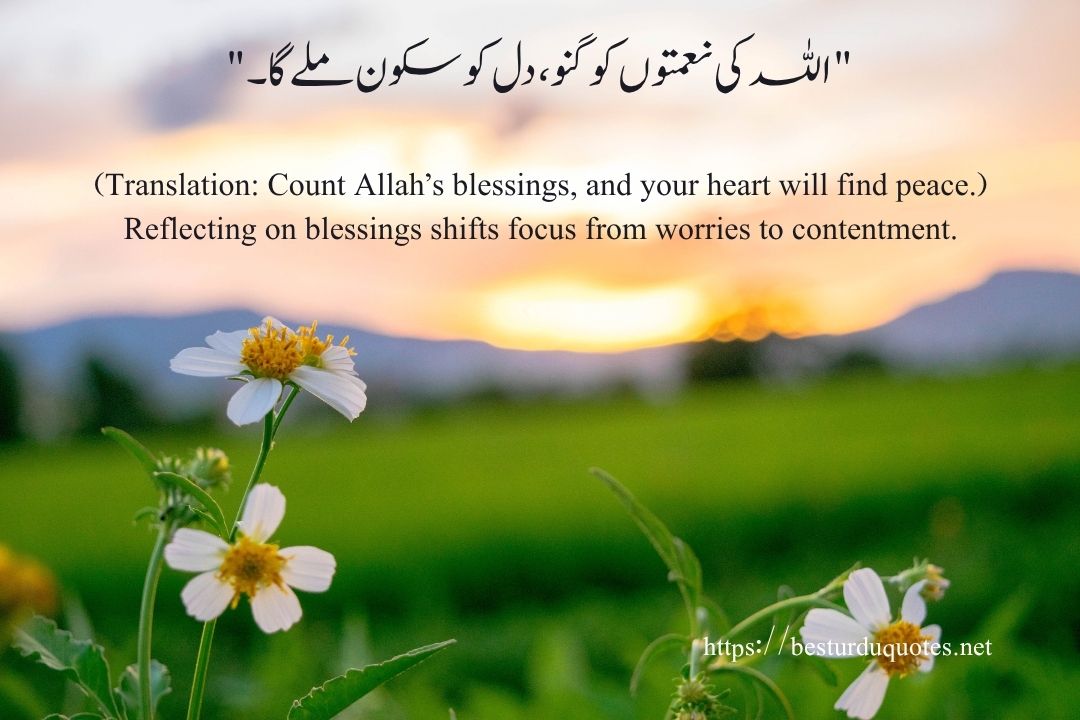 100 Best Motivational Quotes in Urdu to Inspire Your Day 17 100 Best Motivational Quotes in Urdu to Inspire Your Day