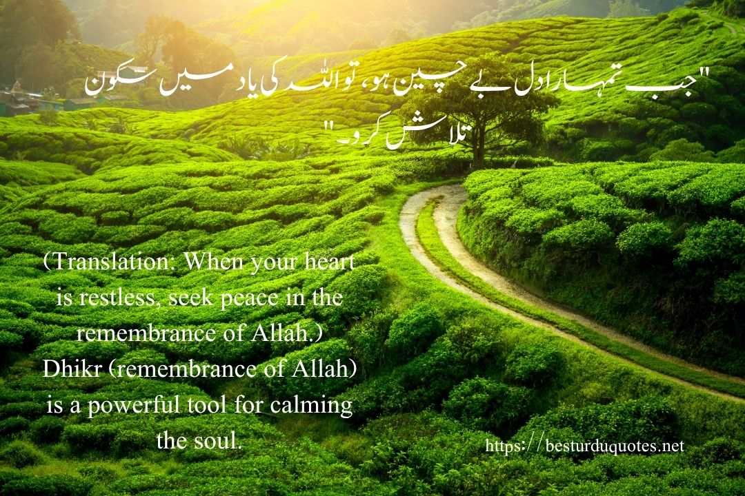 100 Best Motivational Quotes in Urdu to Inspire Your Day 4 100 Best Motivational Quotes in Urdu to Inspire Your Day