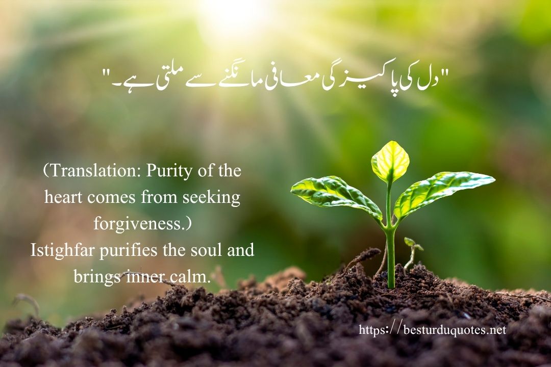 100 Best Motivational Quotes in Urdu to Inspire Your Day 27 100 Best Motivational Quotes in Urdu to Inspire Your Day