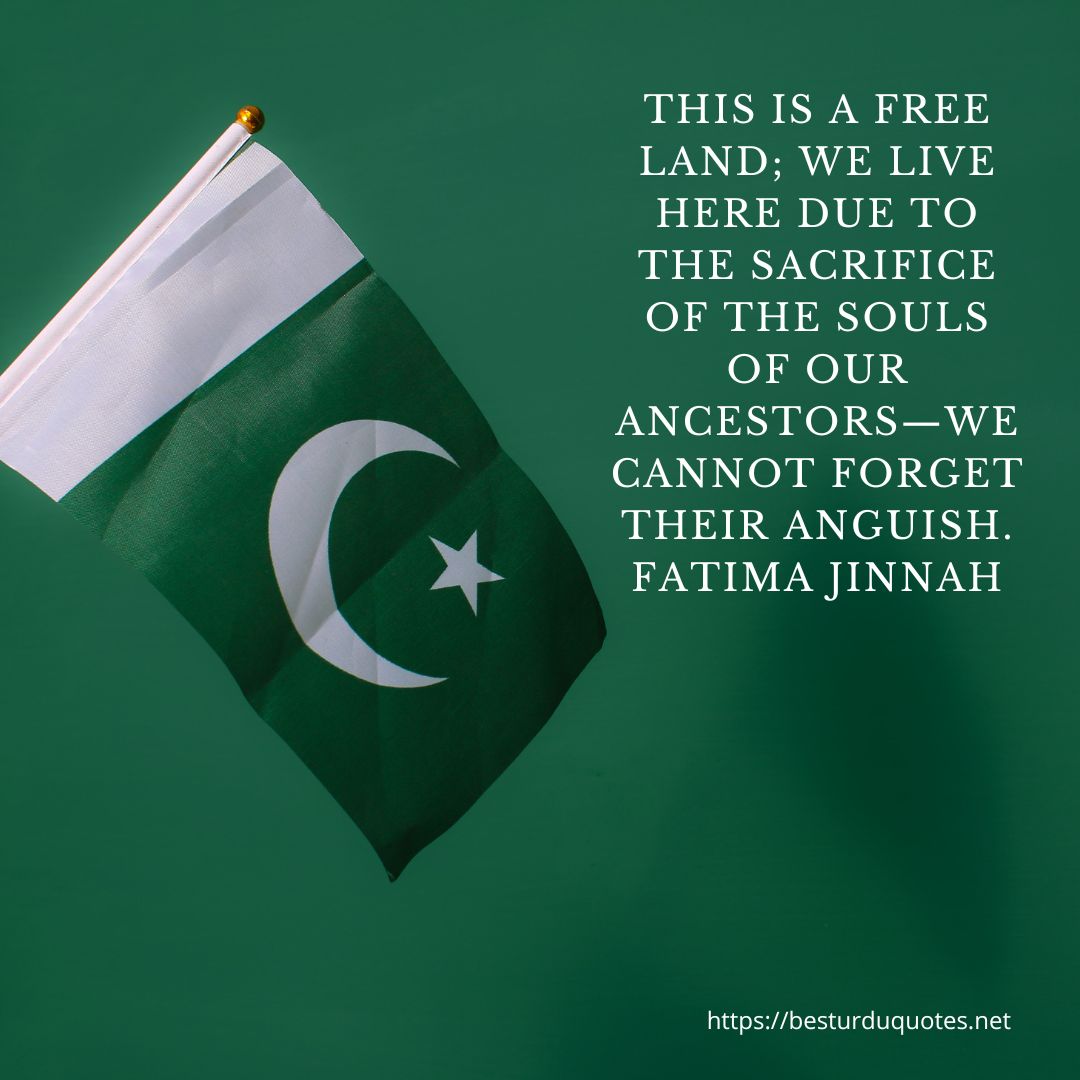 240 Best Independence Day Quotes from Around the World 6 240 Best Independence Day Quotes from Around the World