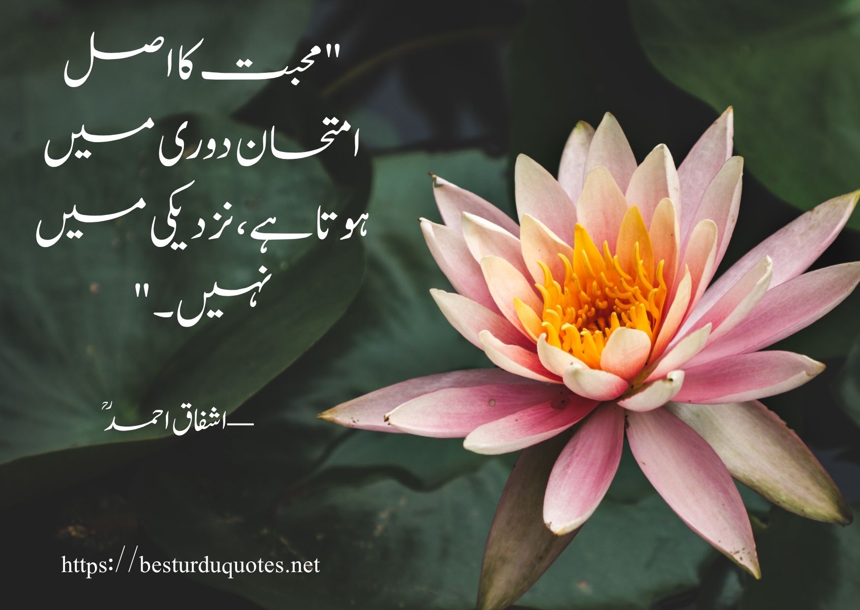 100 Most Powerful Urdu Quotes About Life and Love 6 100 Most Powerful Urdu Quotes About Life and Love