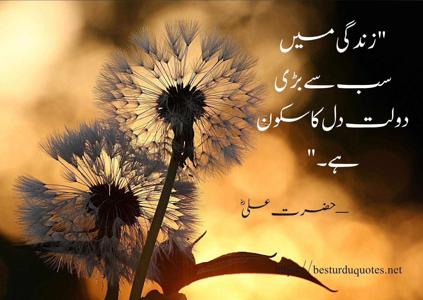 100 Most Powerful Urdu Quotes About Life and Love 7 100 Most Powerful Urdu Quotes About Life and Love